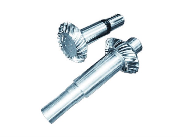 Worm gear shaft